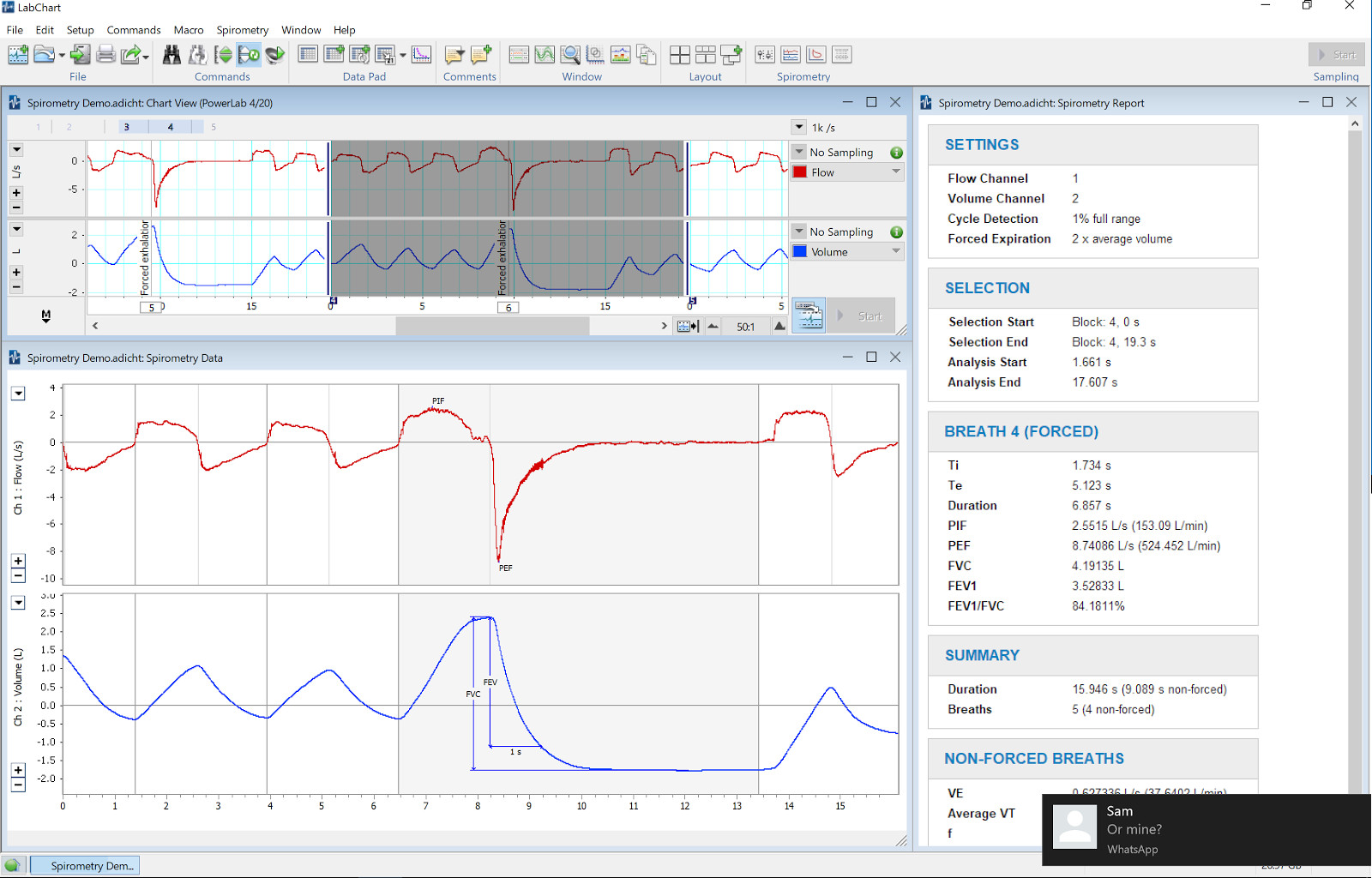 Respiratory System Order Of Air Flow